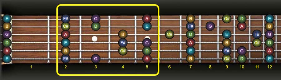 The D Major Scale for Guitar